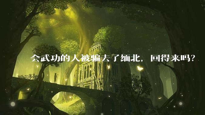 会武功的人被骗去了缅北，回得来吗？