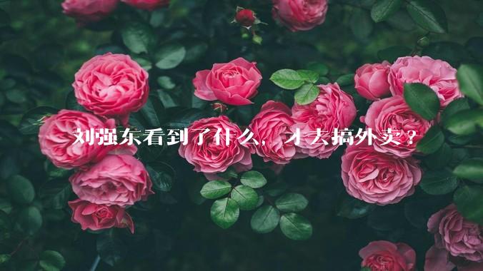 刘强东看到了什么，才去搞外卖?